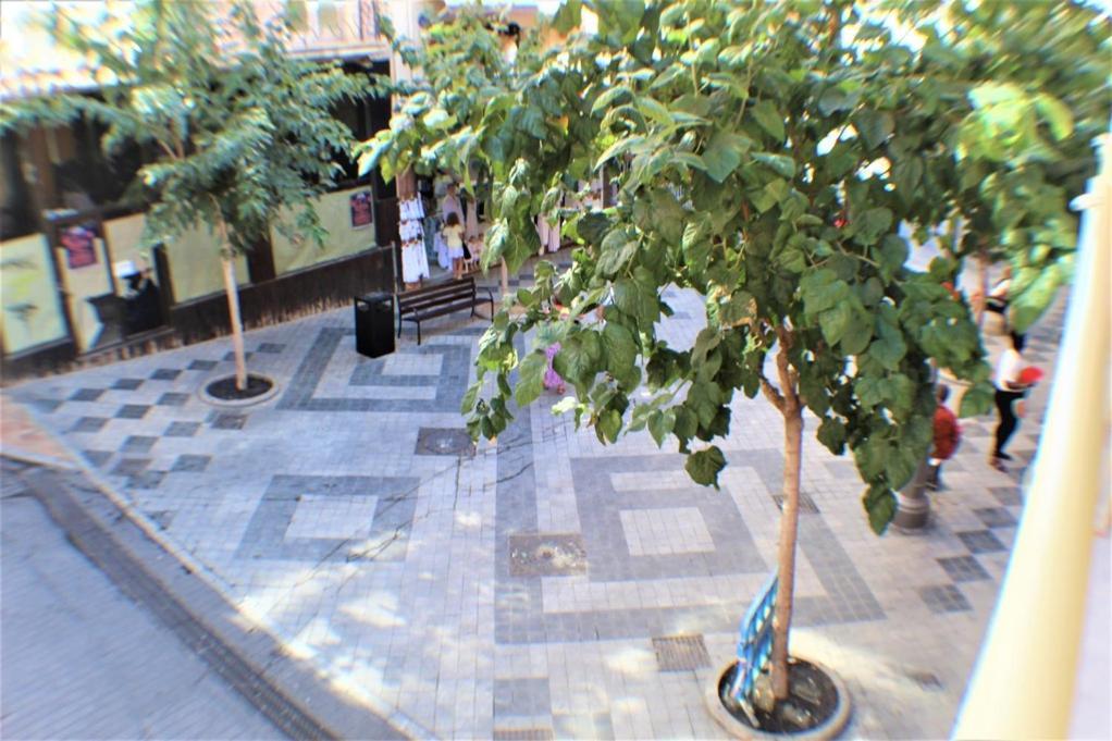 Alameda 31-1a Centro Apartment
